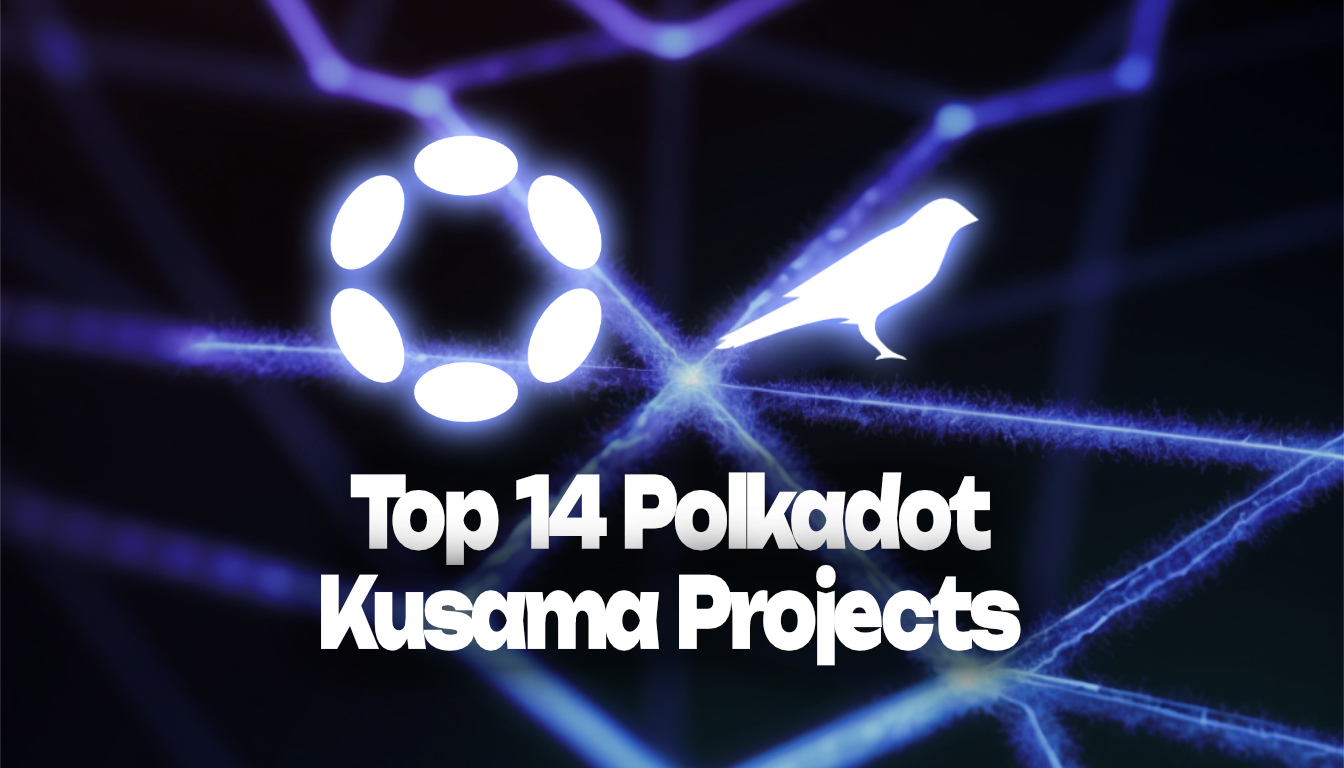 Top 14 Polkadot and Kusama Projects to Watch in 2024